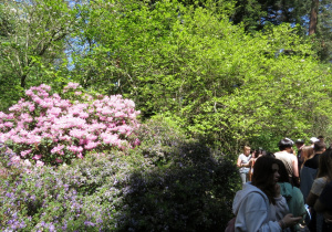 Uczniowie na tle przyrody w Arboretum